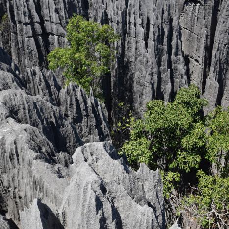 Landschaft Tsingy Bemaraha | Kopp Tours