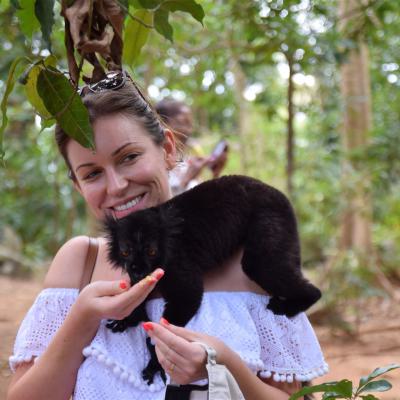 Lemur auf Nosy Komba | Kopp Tours